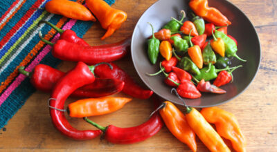 12 pimentas mais ardidas do mundo que vão queimar sua língua
